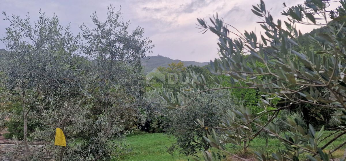 ISTRIA, GRAČIŠĆE - Complesso di terreno attrezzato e con bellissima vista