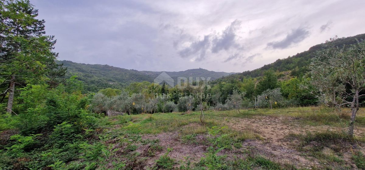 ISTRIA, GRAČIŠĆE - Complesso di terreno attrezzato e con bellissima vista