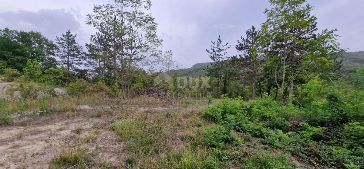 ISTRIA, GRAČIŠĆE - Complesso di terreno attrezzato e con bellissima vista