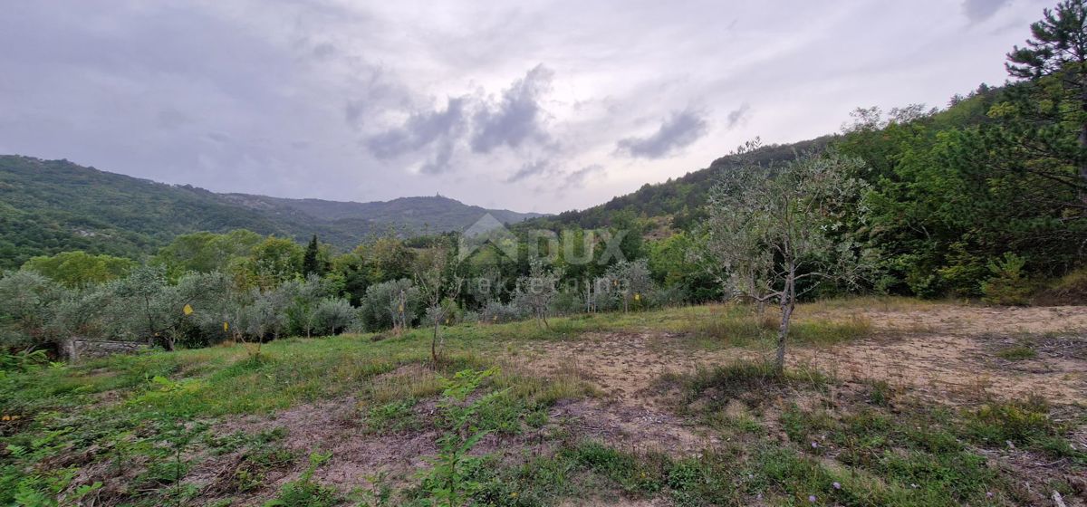 ISTRIA, GRAČIŠĆE - Complesso di terreno attrezzato e con bellissima vista