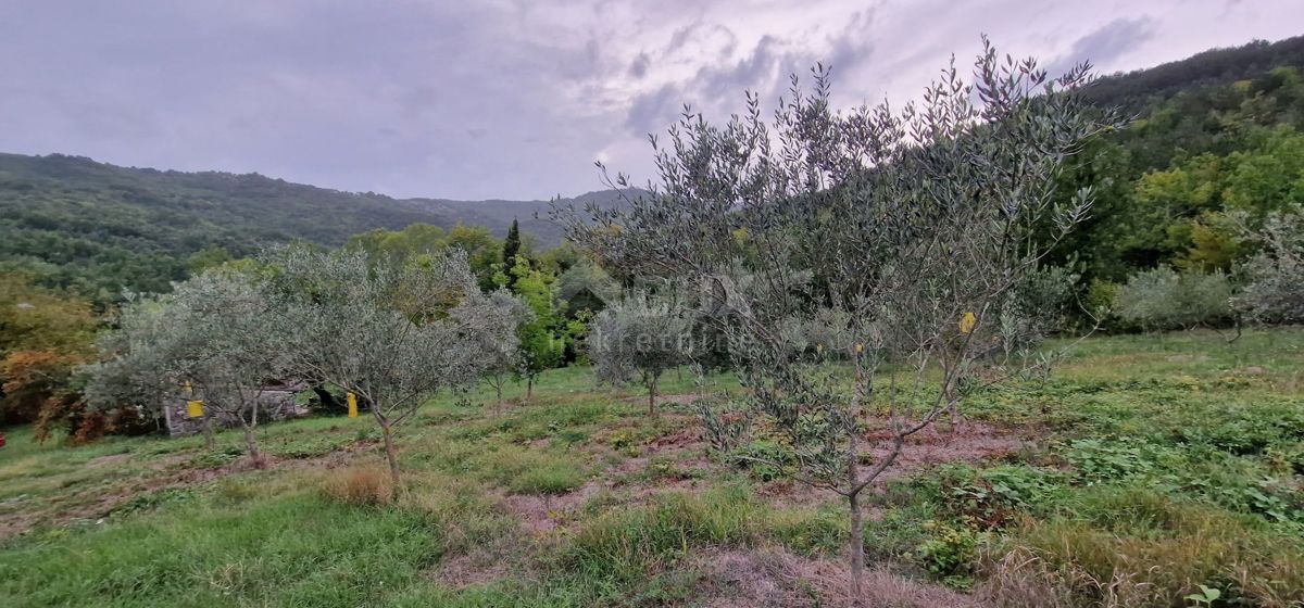 ISTRIA, GRAČIŠĆE - Complesso di terreno attrezzato e con bellissima vista