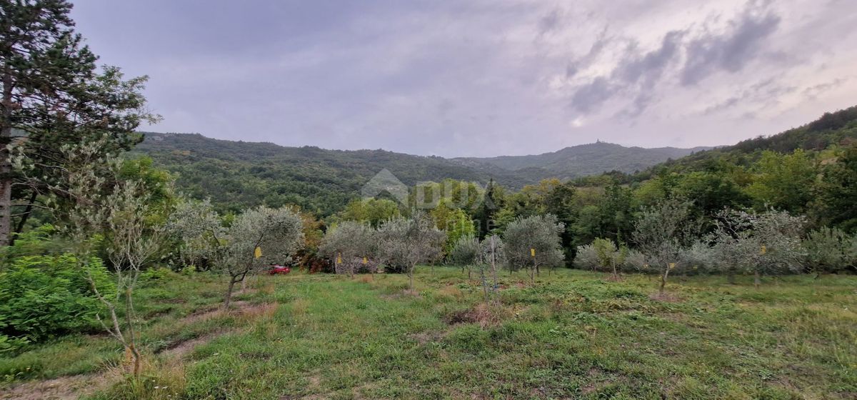 ISTRIA, GRAČIŠĆE - Complesso di terreno attrezzato e con bellissima vista