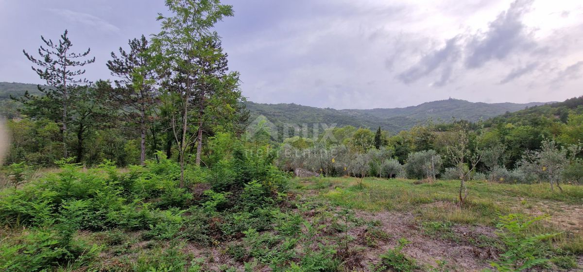 ISTRIA, GRAČIŠĆE - Complesso di terreno attrezzato e con bellissima vista