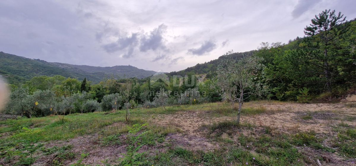 ISTRIA, GRAČIŠĆE - Complesso di terreno attrezzato e con bellissima vista