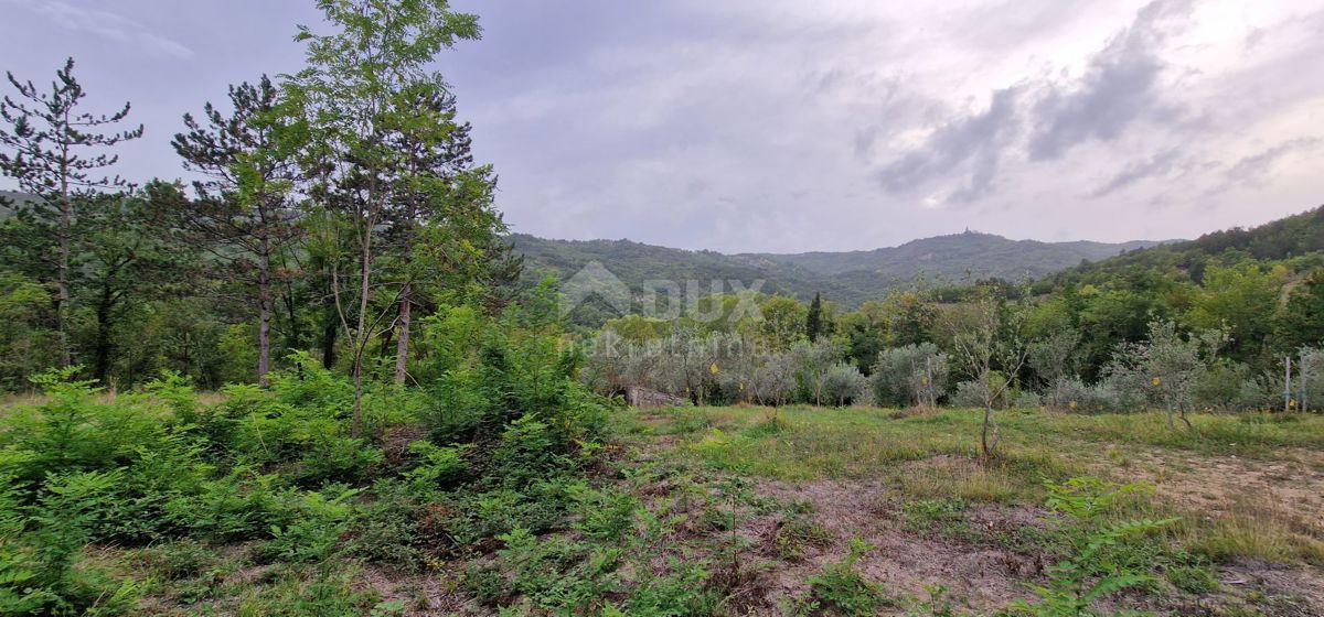 ISTRIA, GRAČIŠĆE - Complesso di terreno attrezzato e con bellissima vista