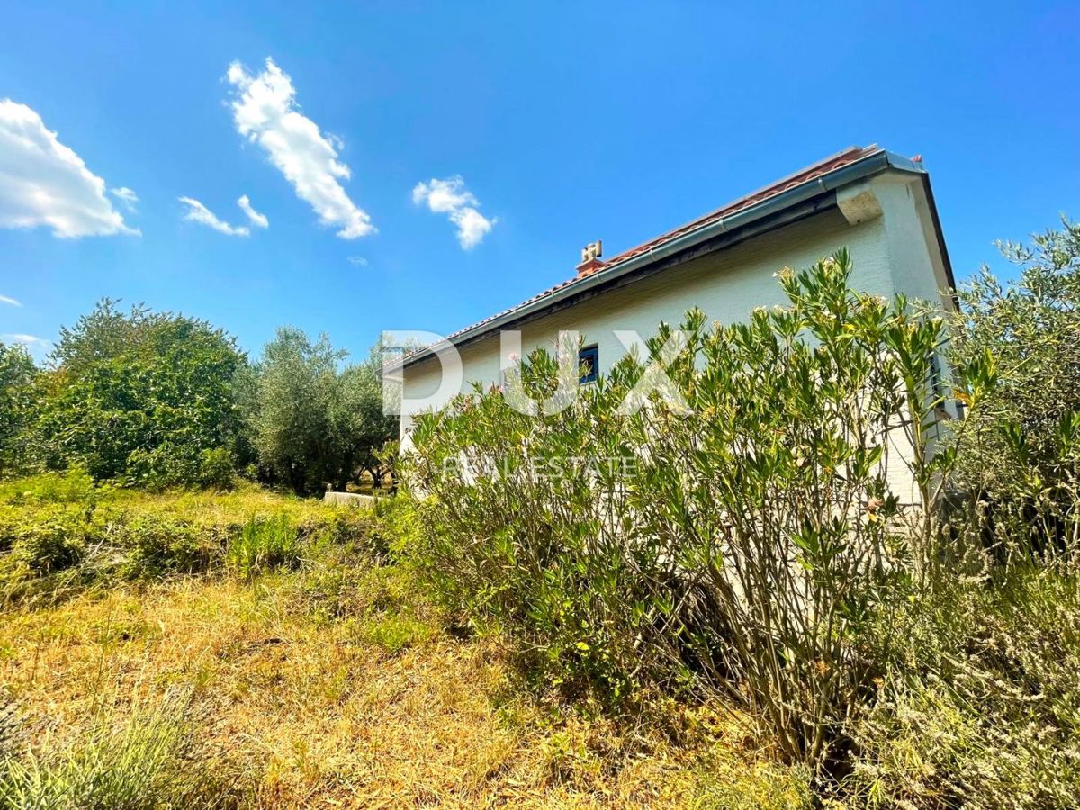 ISOLA DI KRK - Casa isolata, 400 ulivi, 10.000 m2 di terreno!