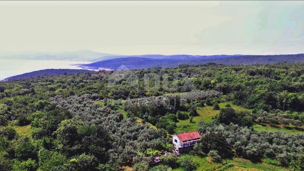 ISOLA DI KRK - Casa isolata, 400 ulivi, 10.000 m2 di terreno!