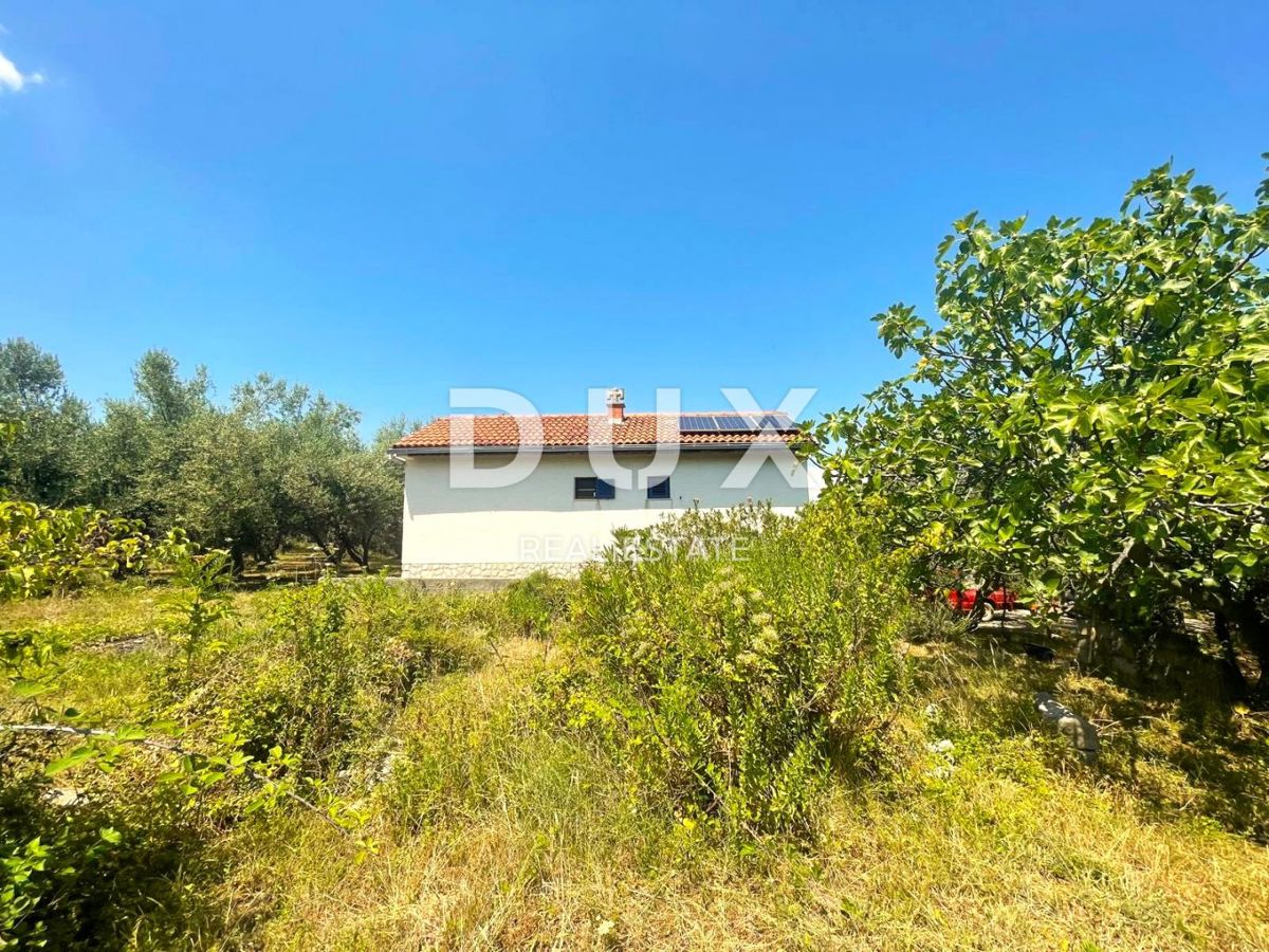 ISOLA DI KRK - Casa isolata, 400 ulivi, 10.000 m2 di terreno!