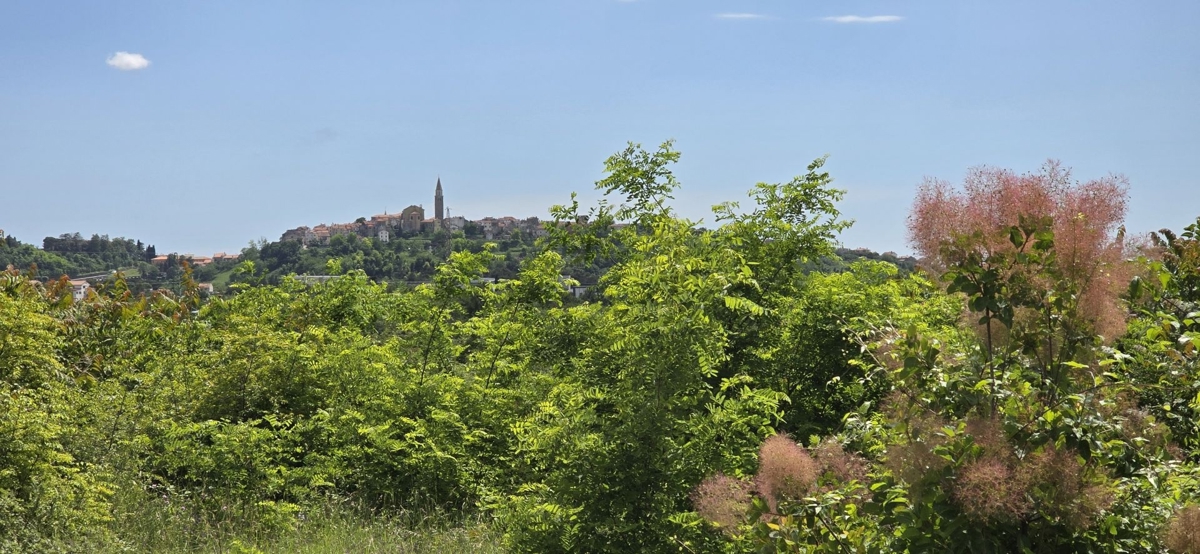 ISTRIA, BUJE - Terreno edificabile con permesso per una casa ad un piano con piscina, bellissima vista mare