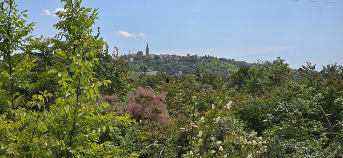 ISTRIA, BUJE - Terreno edificabile con permesso per una casa ad un piano con piscina, bellissima vista mare