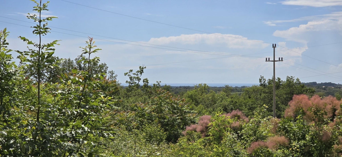 ISTRIA, BUJE - Terreno edificabile con permesso per una casa ad un piano con piscina, bellissima vista mare