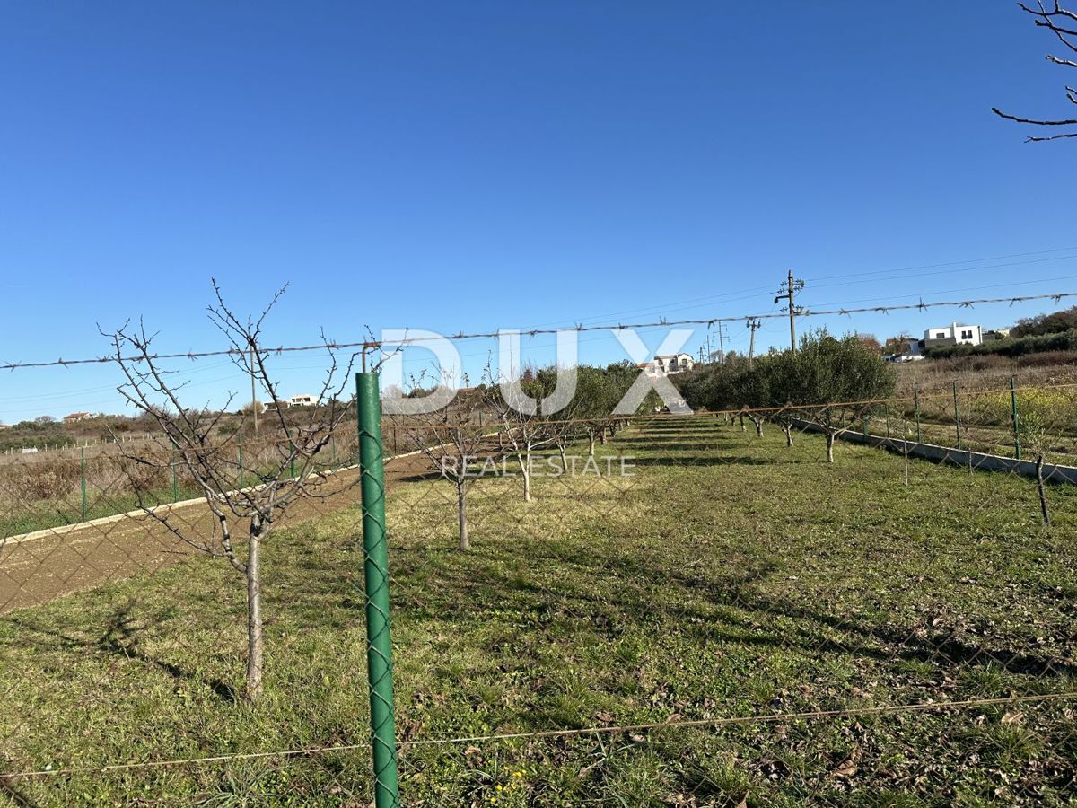 CRNO, ZARA - Terreno recintato con casetta da giardino!