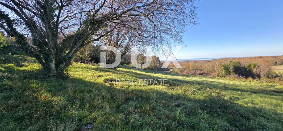 ISTRIA, VIŠNJAN - Terreno edificabile con bellissima vista sul mare e sulla natura