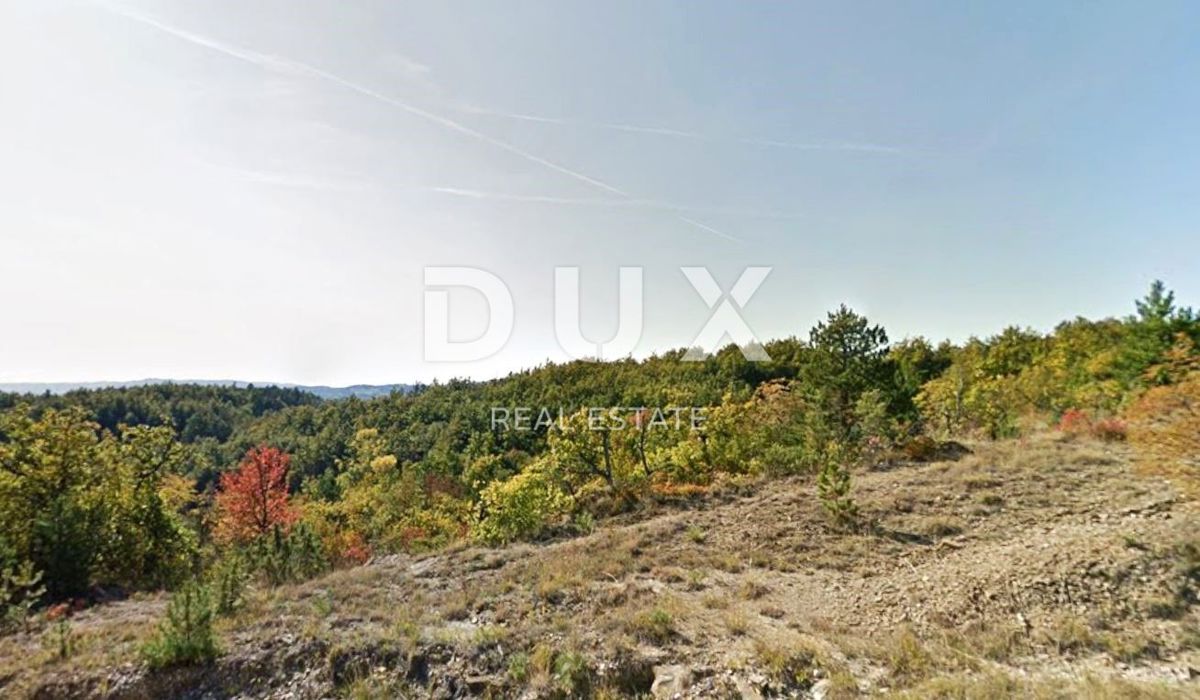 ISTRIA, CEROVLJE - Terreno agricolo di grandi dimensioni