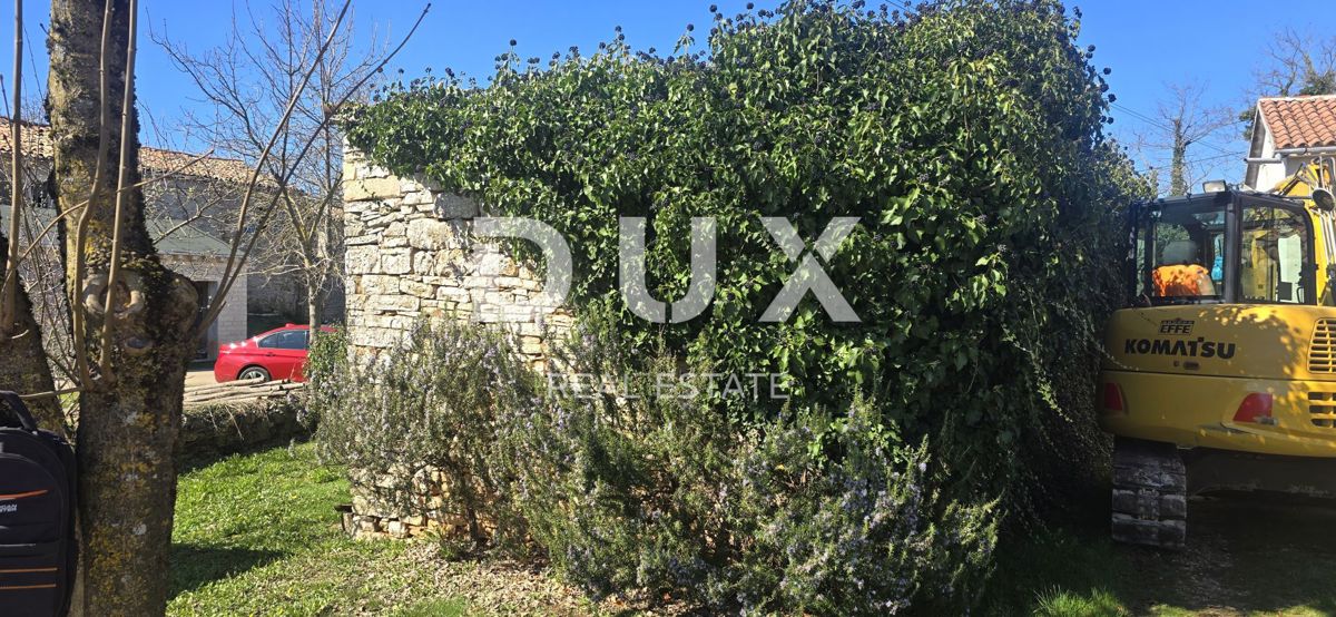 ISTRIA, ŽMINJ - Due case in pietra pronte per la ristrutturazione