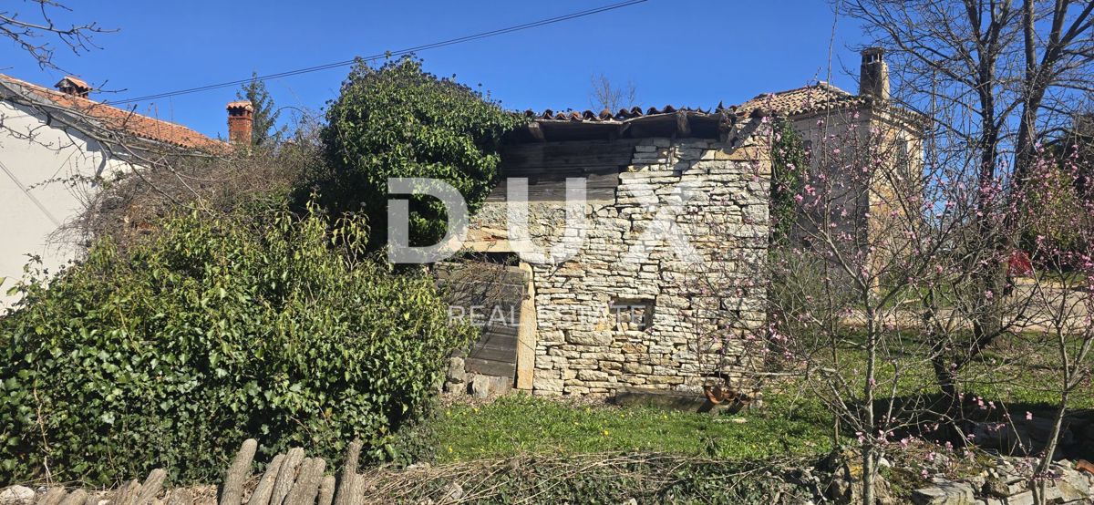 ISTRIA, ŽMINJ - Due case in pietra pronte per la ristrutturazione