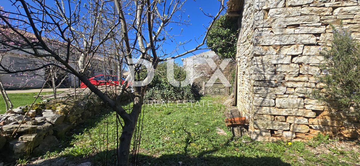 ISTRIA, ŽMINJ - Due case in pietra pronte per la ristrutturazione