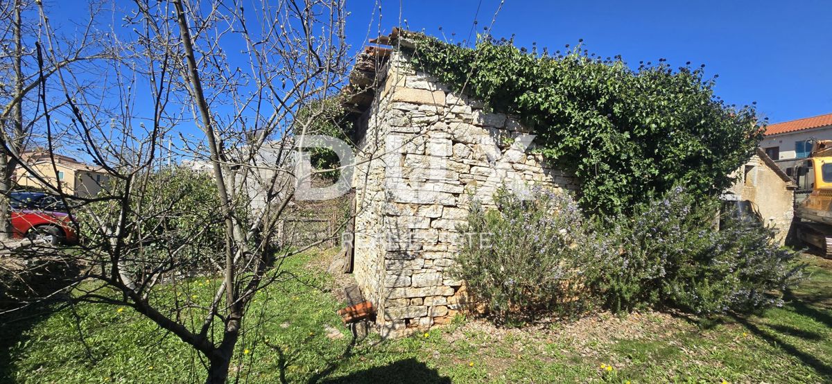 ISTRIA, ŽMINJ - Due case in pietra pronte per la ristrutturazione