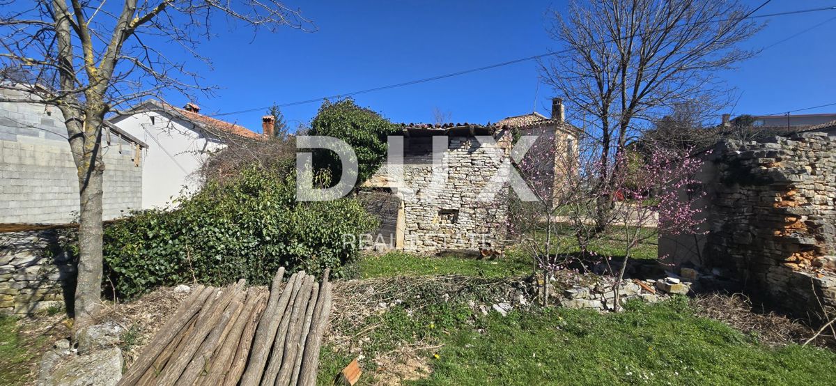 ISTRIA, ŽMINJ - Due case in pietra pronte per la ristrutturazione