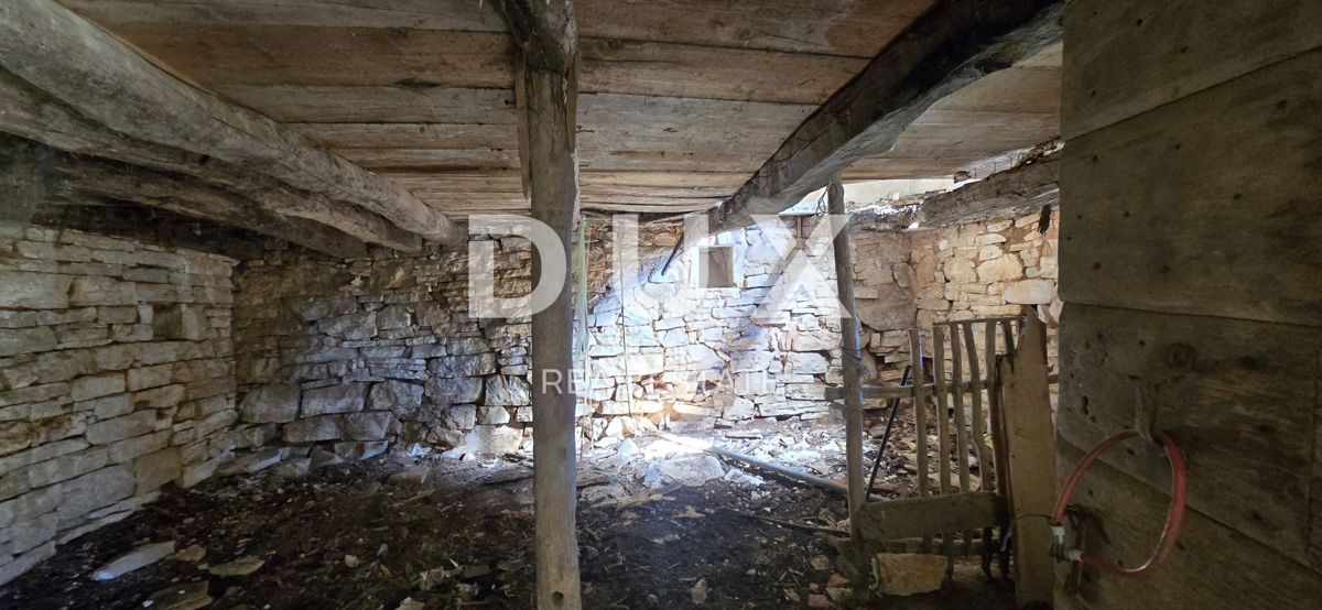 ISTRIA, ŽMINJ - Due case in pietra pronte per la ristrutturazione