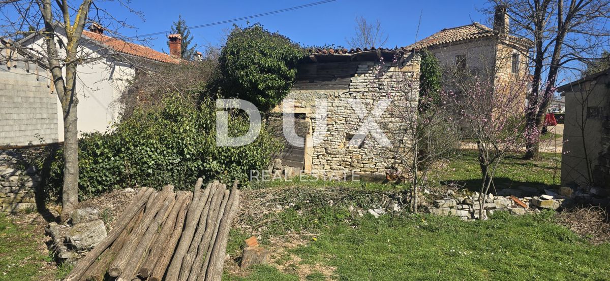 ISTRIA, ŽMINJ - Due case in pietra pronte per la ristrutturazione