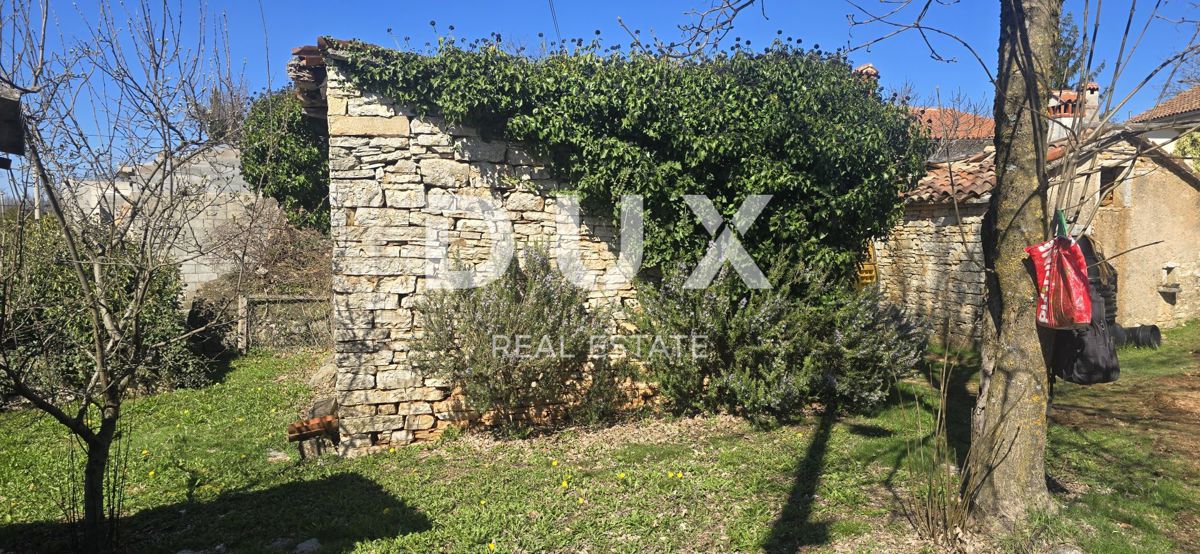 ISTRIA, ŽMINJ - Due case in pietra pronte per la ristrutturazione