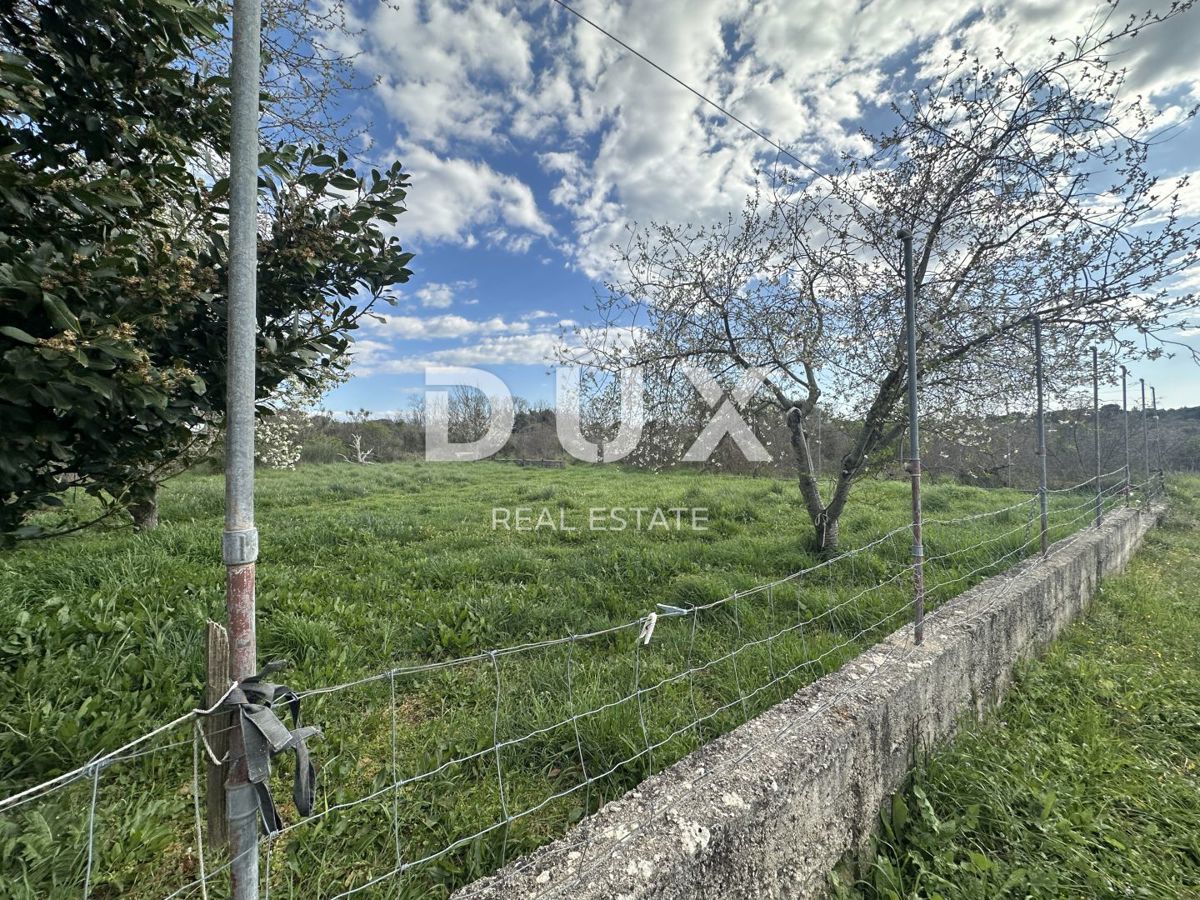DIKLO, CERODOLE - Casa monopiano 123m² su terreno 1000m²