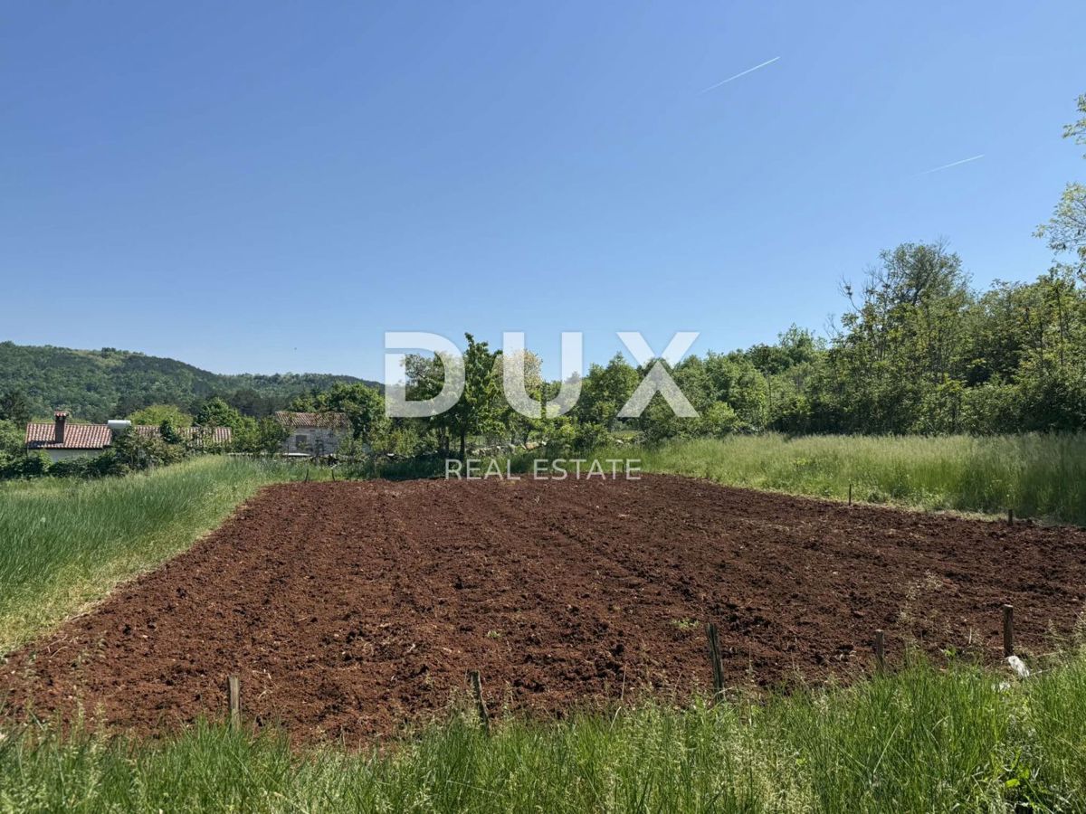 ISTRIA, GROŽNJAN - Autentica casa istriana con terreno edificabile aggiuntivo