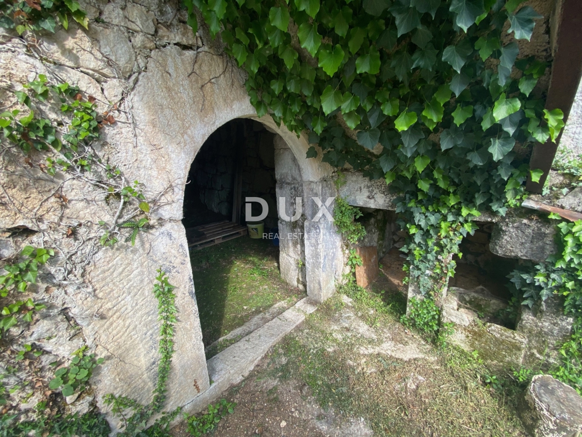 CRIKVENICA, BELGRADO - casa con due appartamenti con vista mare + cortile + casa da ristrutturare! OCCASIONE!!!