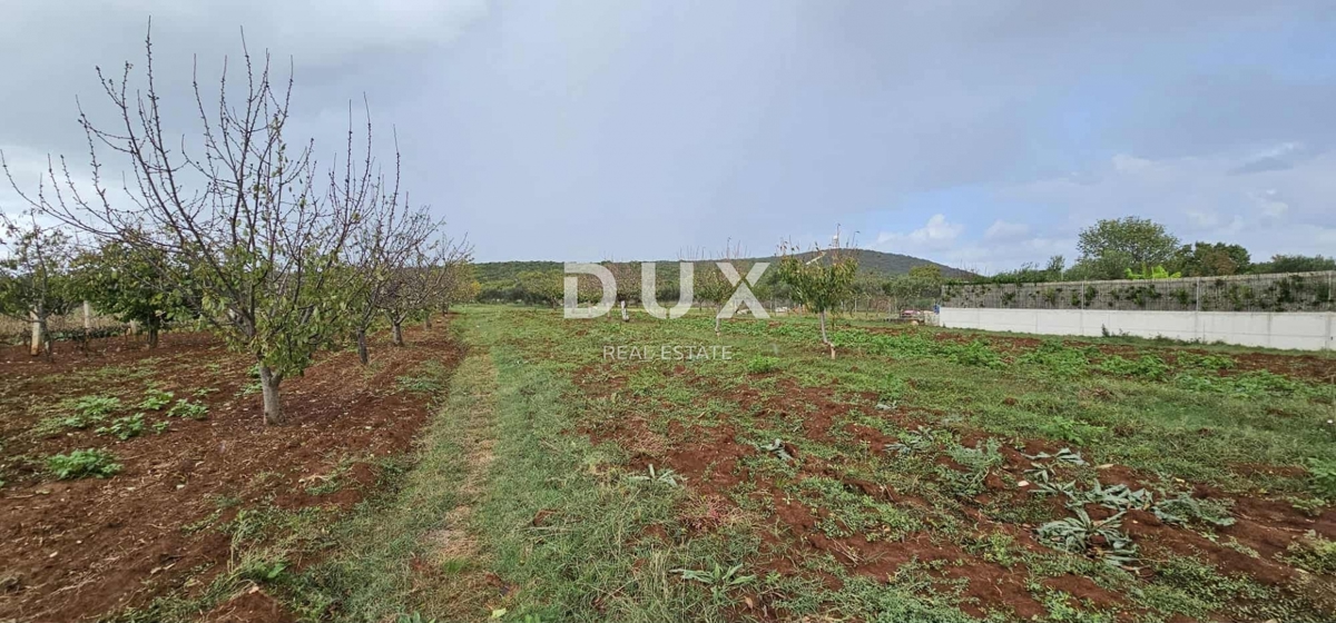 ZADAR, DEBALJAK - Terreno edificabile 870 m2