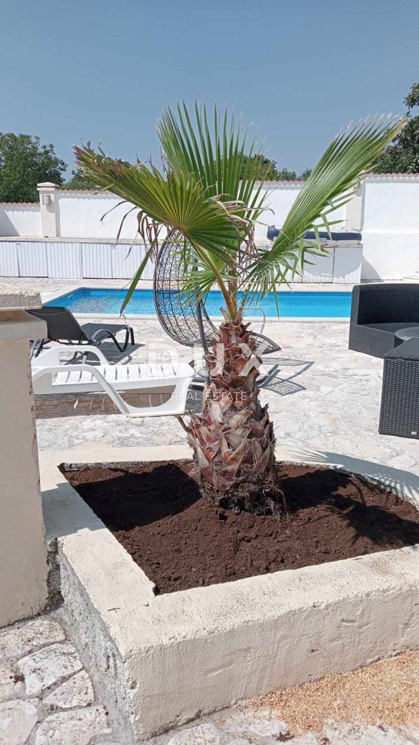 ISTRIA, MARČANA - Casa in pietra ristrutturata con piscina