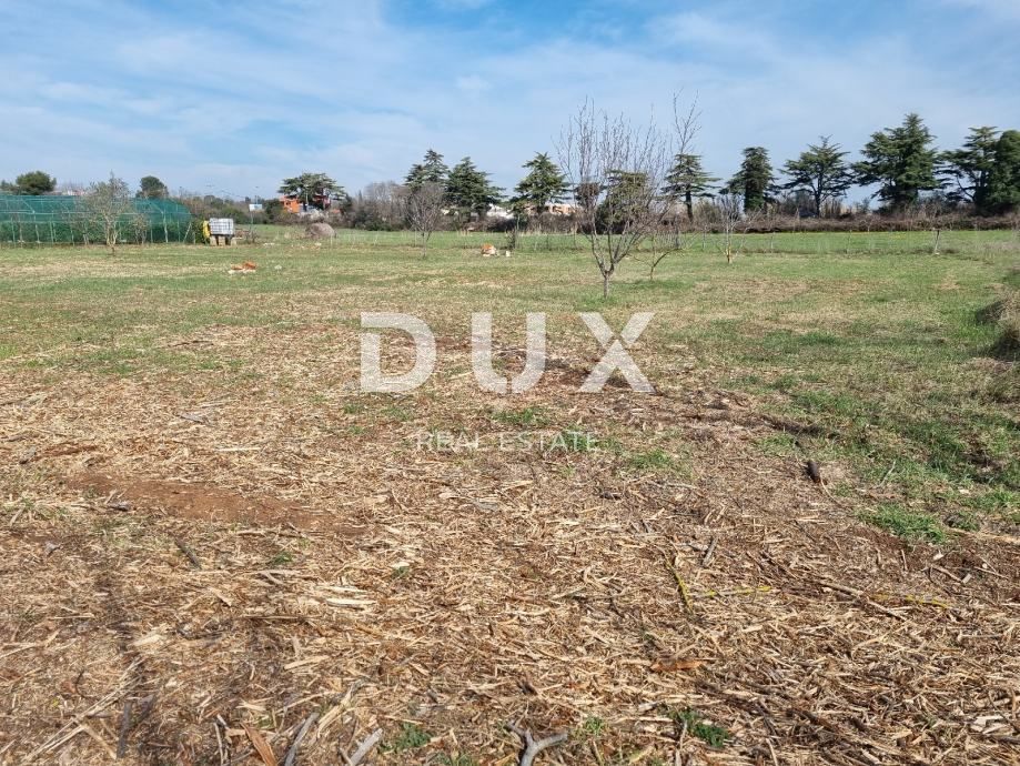 ISTRIA, POLA - Terreno edificabile a Štinjan 890 m2