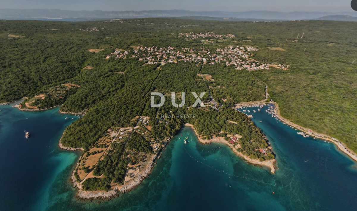 ISOLA DI KRK, PINEZIĆI - Vecchio uliveto, ben curato, in posizione tranquilla