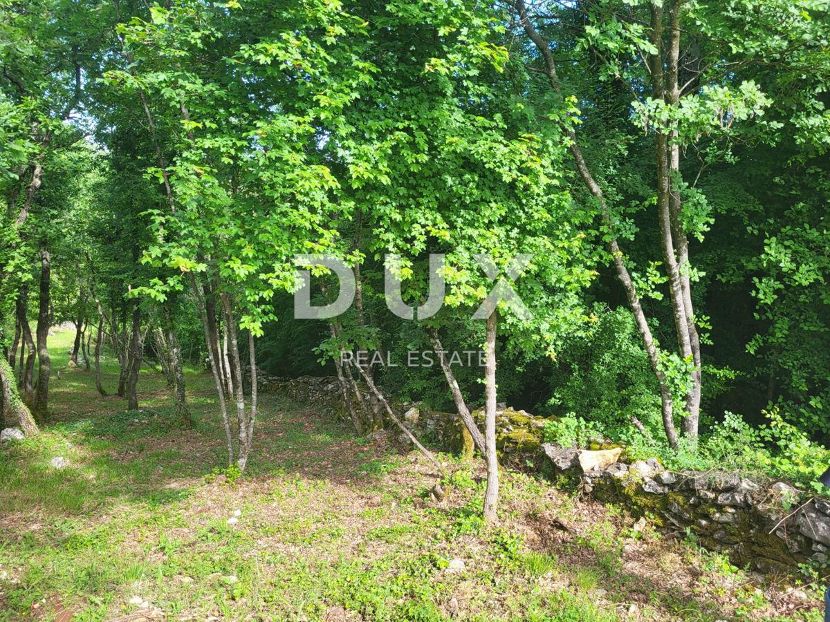 Terreno Barban, 3.445m2