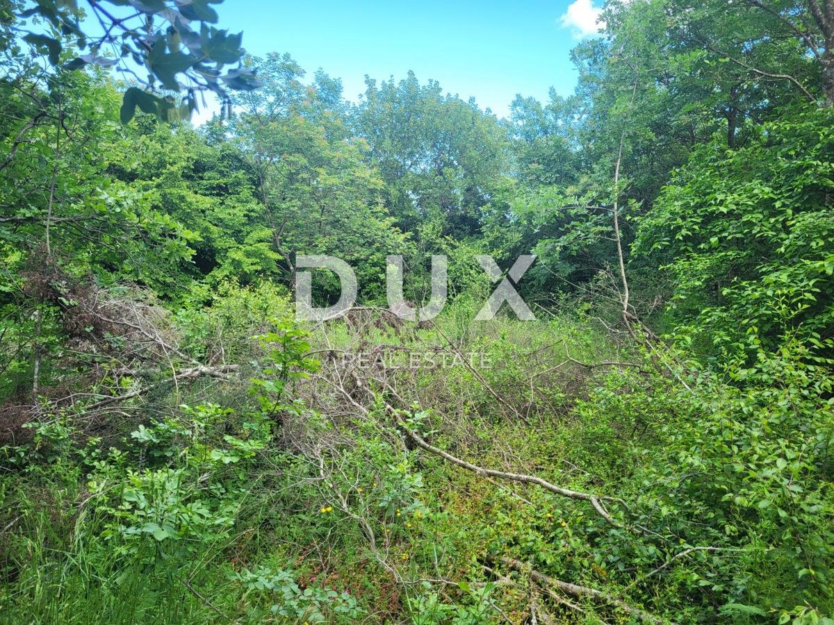 Terreno Barban, 3.445m2