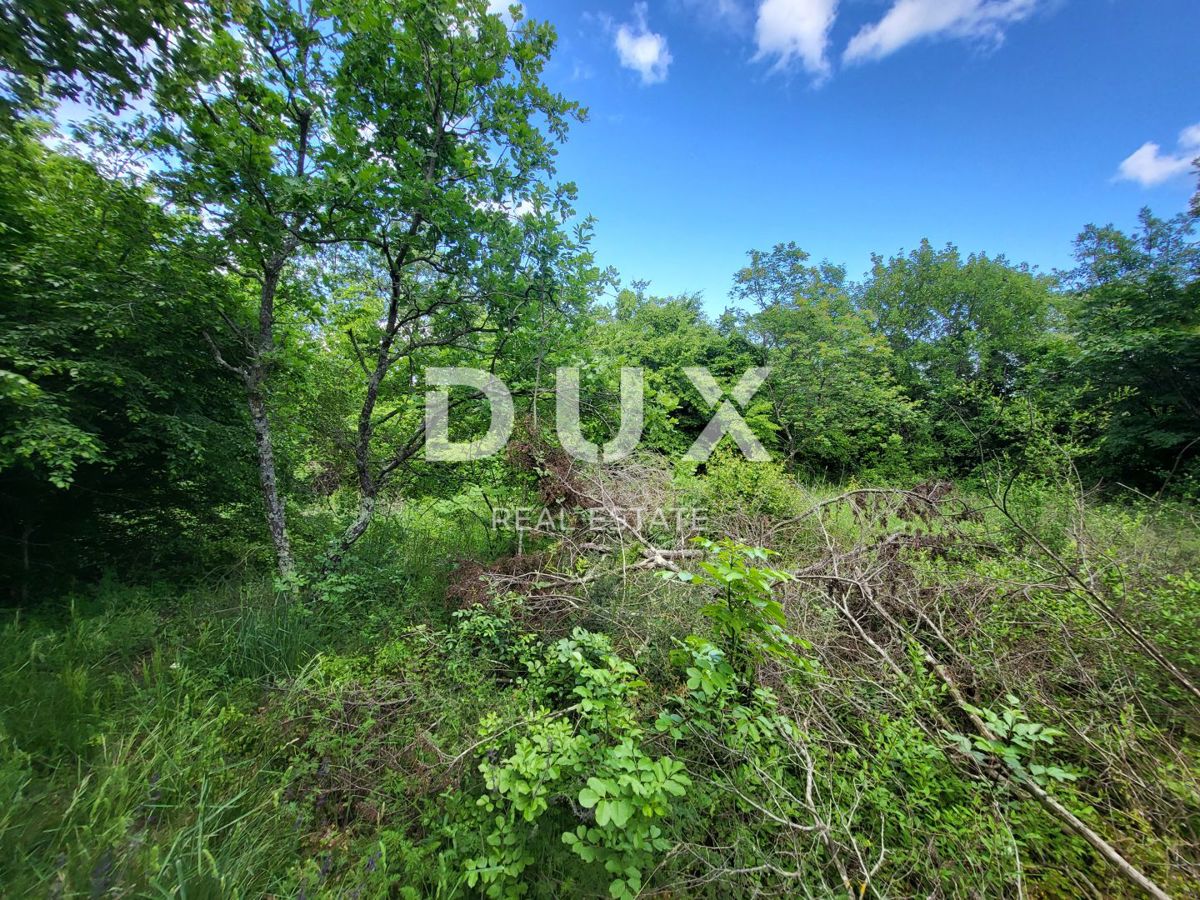 Terreno Barban, 3.445m2