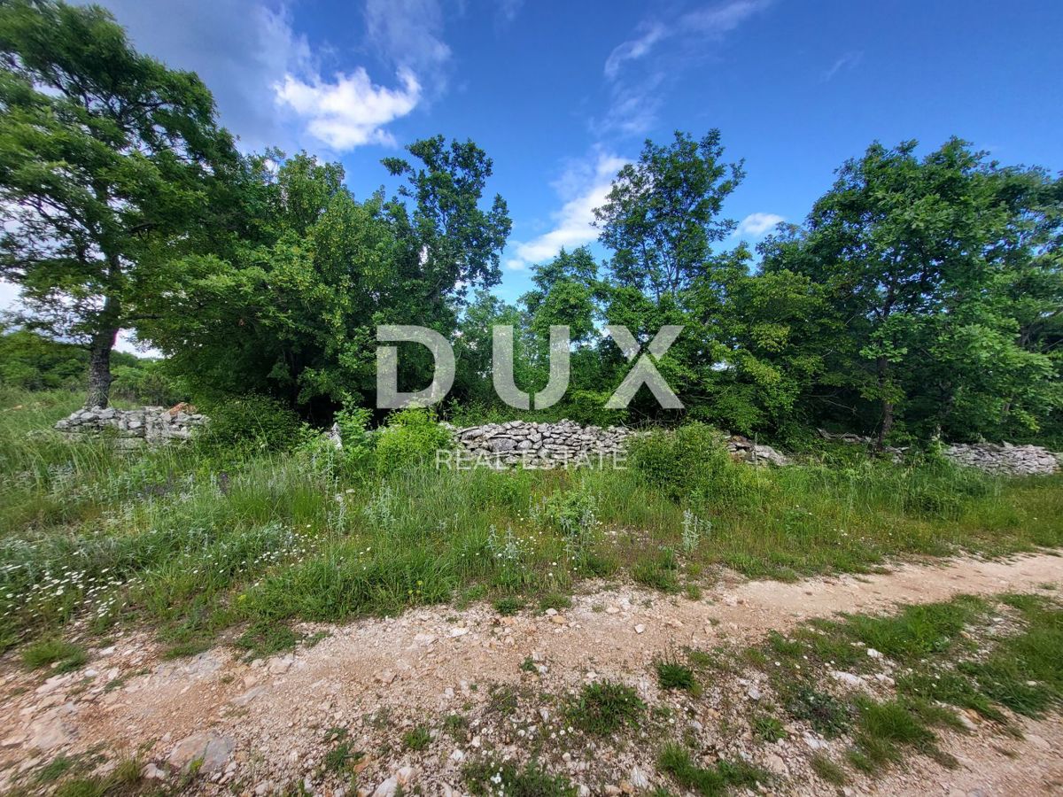 Terreno Barban, 3.445m2