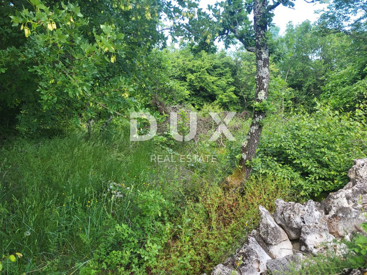 Terreno Barban, 3.445m2