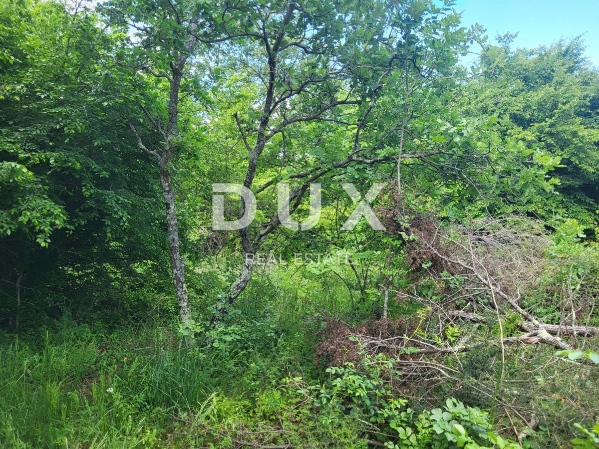 Terreno Barban, 3.445m2