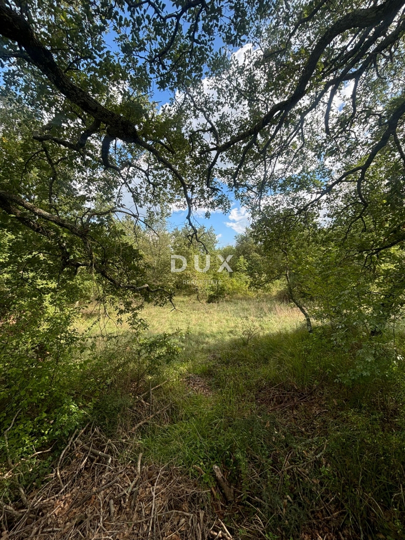 ISTRIA, PARENZO (BADERNA) - Terreno per una villa con tanta privacy e verde! 800 m2 di terreno edificabile e 7034 m2 di terreno agricolo!