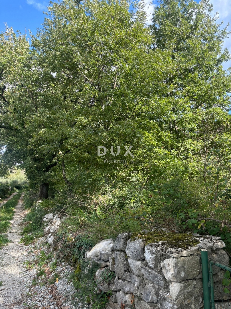 ISTRIA, PARENZO (BADERNA) - Terreno per una villa con tanta privacy e verde! 800 m2 di terreno edificabile e 7034 m2 di terreno agricolo!