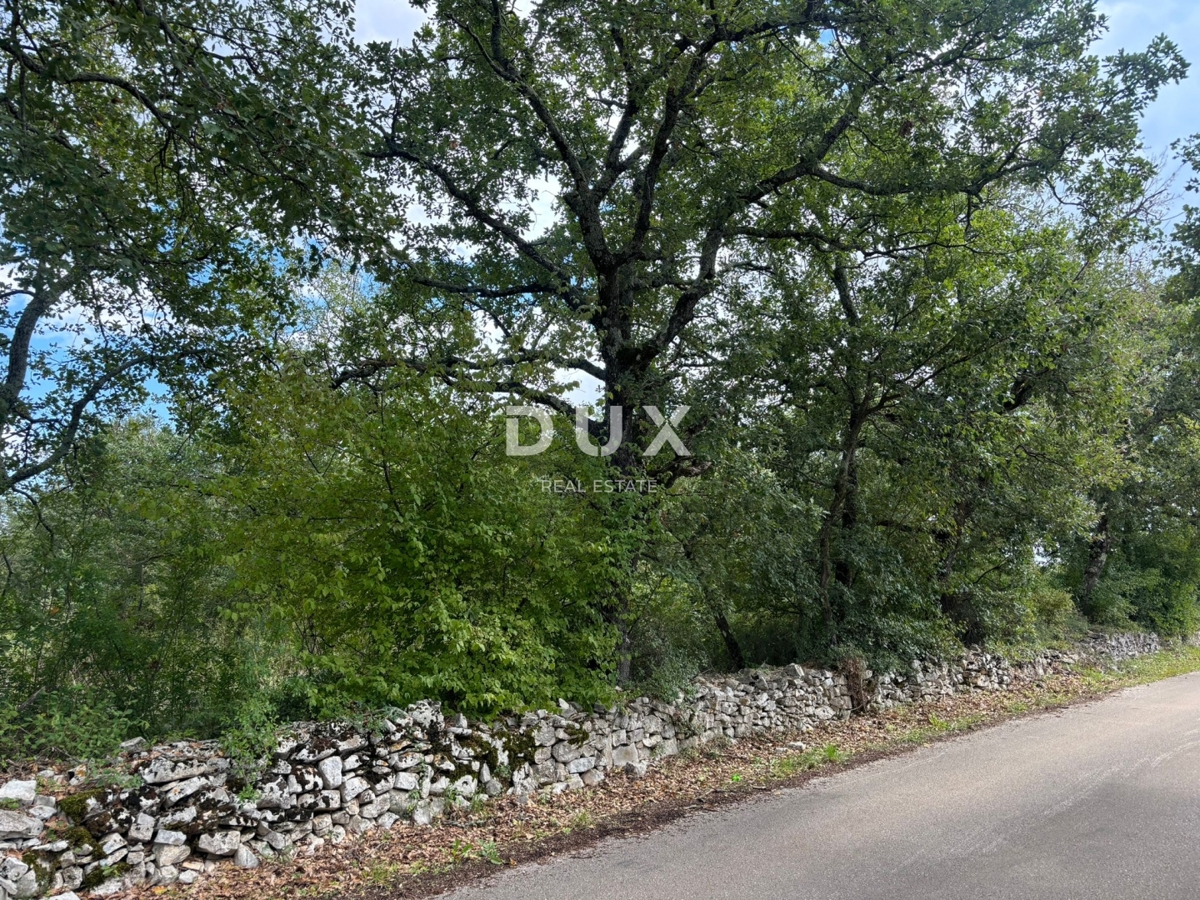ISTRIA, PARENZO (BADERNA) - Terreno per una villa con tanta privacy e verde! 800 m2 di terreno edificabile e 7034 m2 di terreno agricolo!