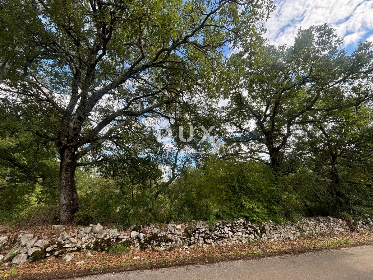 ISTRIA, PARENZO (BADERNA) - Terreno per una villa con tanta privacy e verde! 800 m2 di terreno edificabile e 7034 m2 di terreno agricolo!