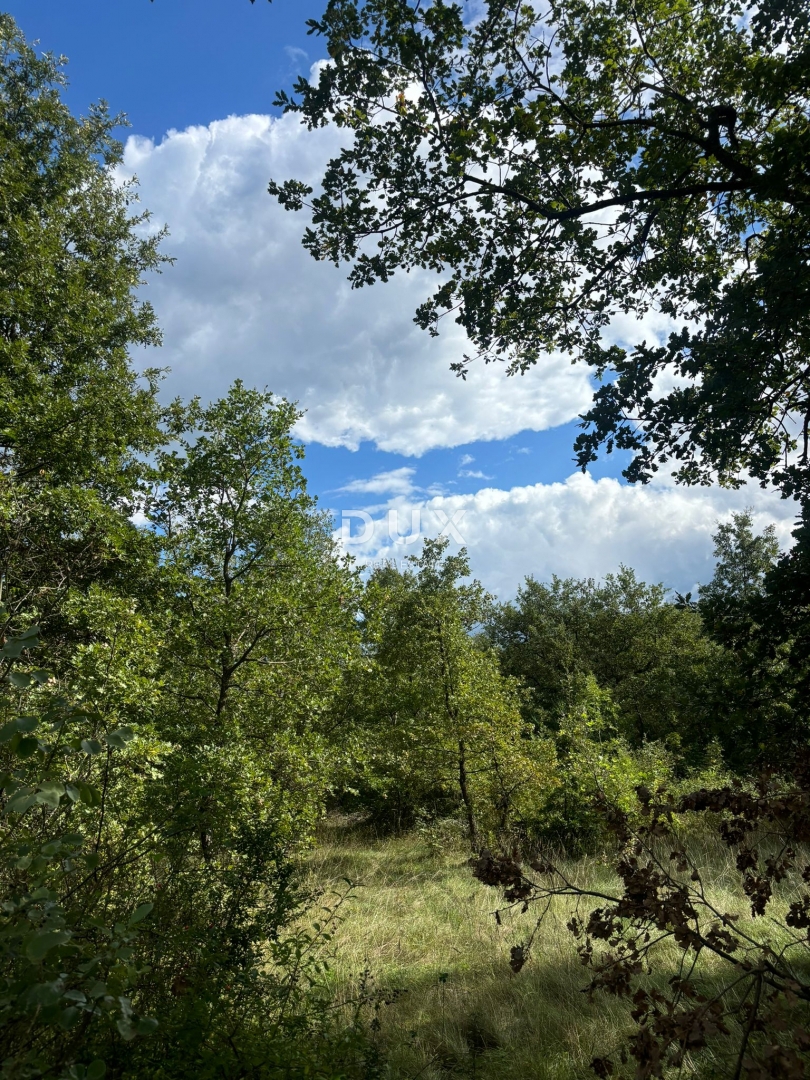 ISTRIA, PARENZO (BADERNA) - Terreno per una villa con tanta privacy e verde! 800 m2 di terreno edificabile e 7034 m2 di terreno agricolo!