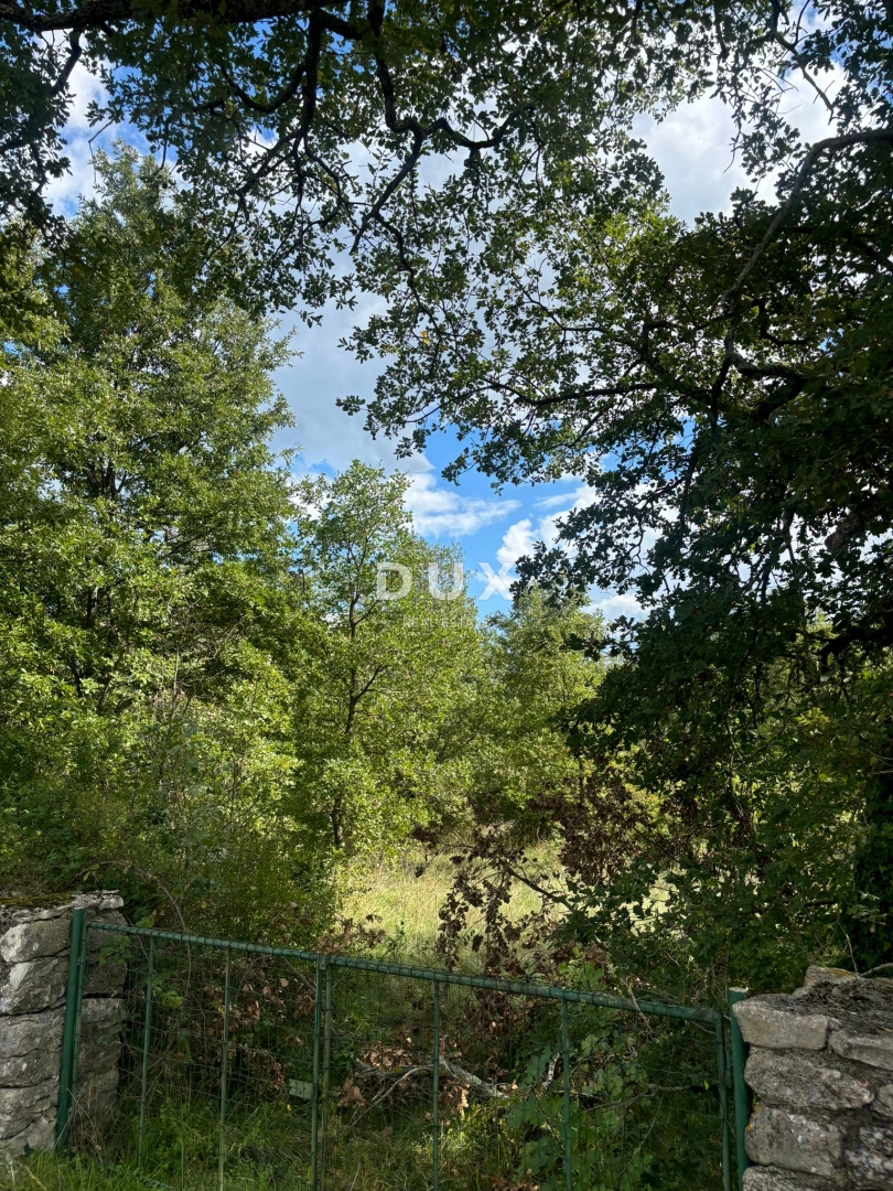 ISTRIA, PARENZO (BADERNA) - Terreno per una villa con tanta privacy e verde! 800 m2 di terreno edificabile e 7034 m2 di terreno agricolo!