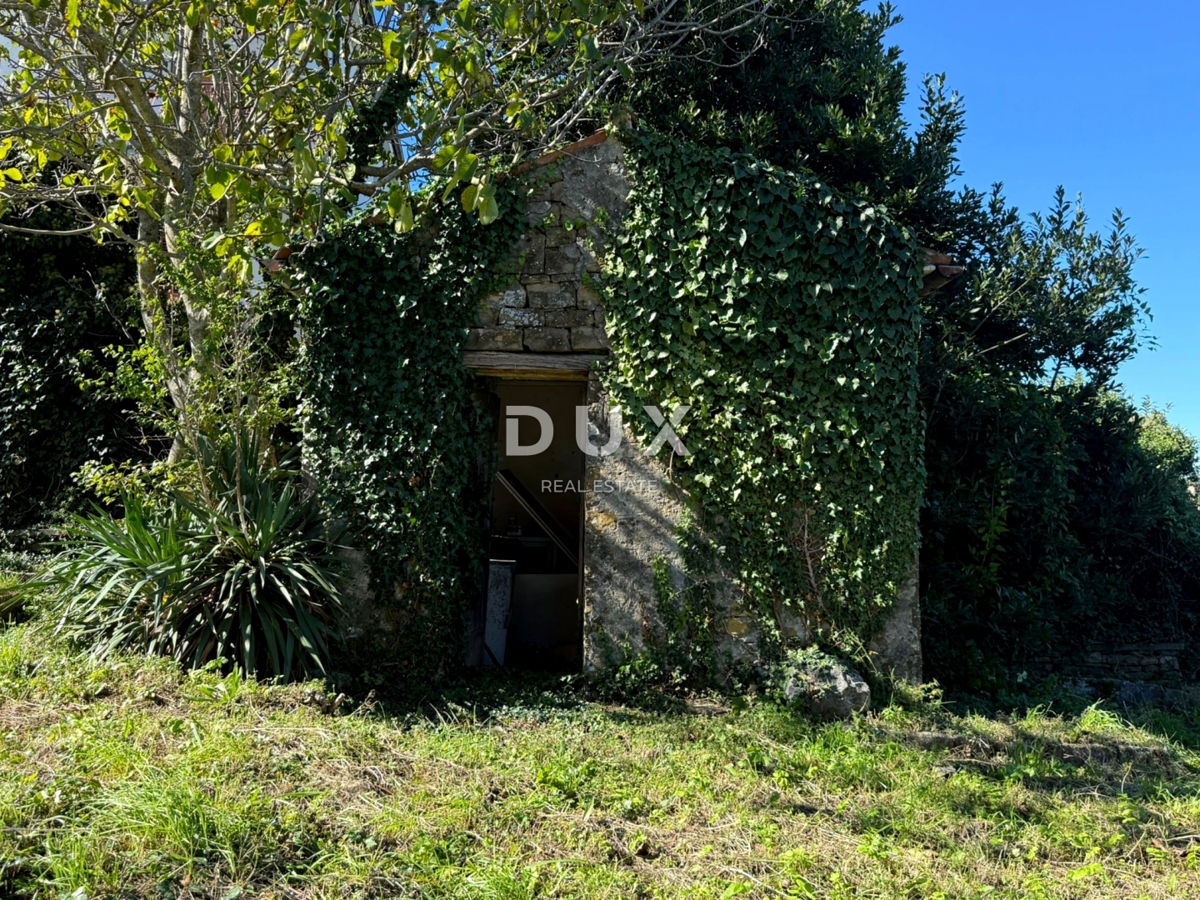 ISTRIA, BUIE - Casa indipendente da ristrutturare