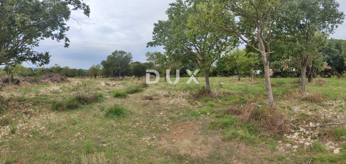 BIOGRAD NA MORU - terreno con progetto e permesso di costruire