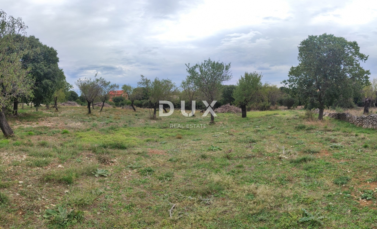 BIOGRAD NA MORU - terreno con progetto e permesso di costruire
