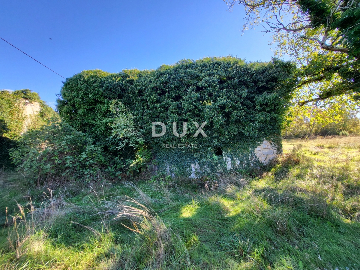 ISTRIA, BOLJUN - Due case indipendenti in pietra con 18.000 m2 di terreno