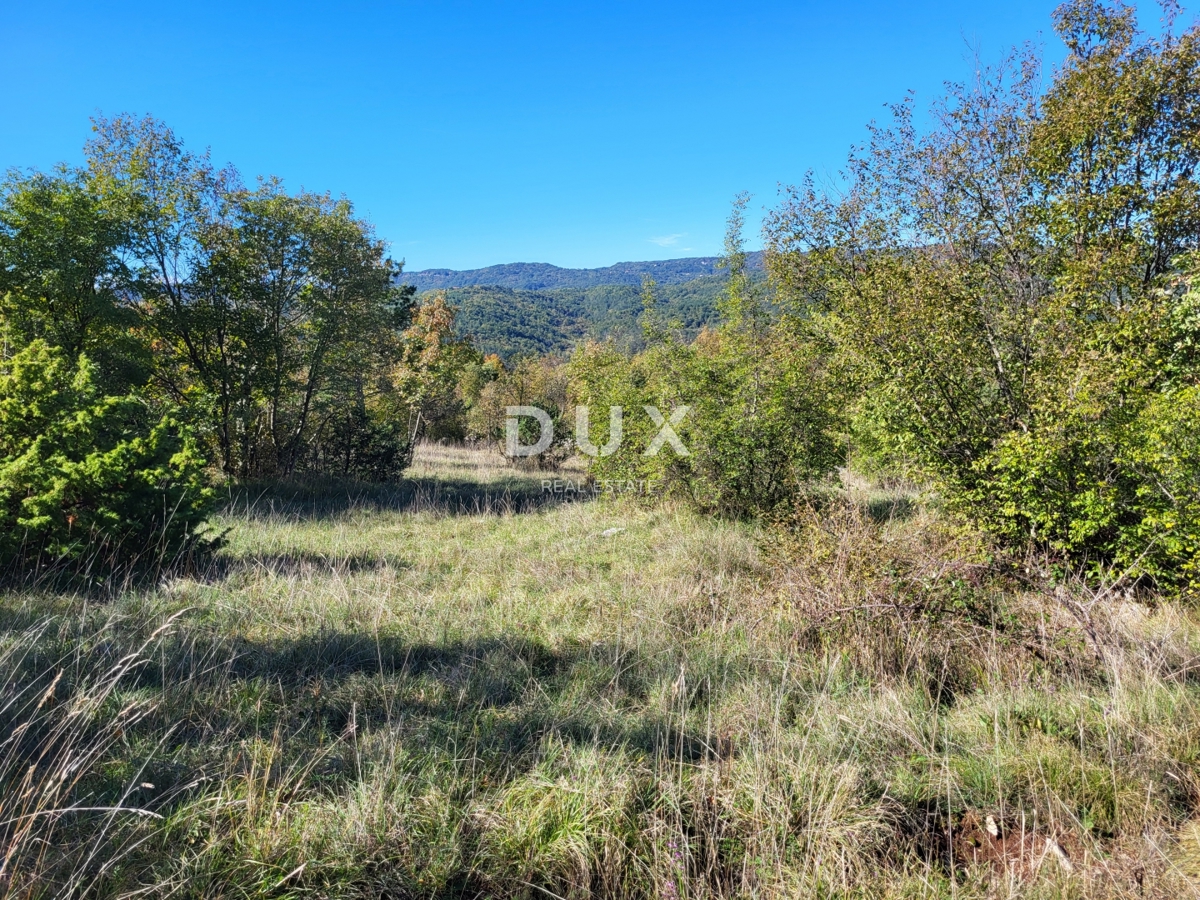 ISTRIA, BOLJUN - Due case indipendenti in pietra con 18.000 m2 di terreno